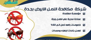 شركة مكافحة النمل الابيض بجدة