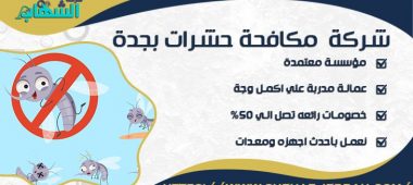 شركة مكافحة حشرات بجدة